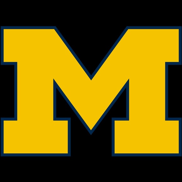 michigan240
